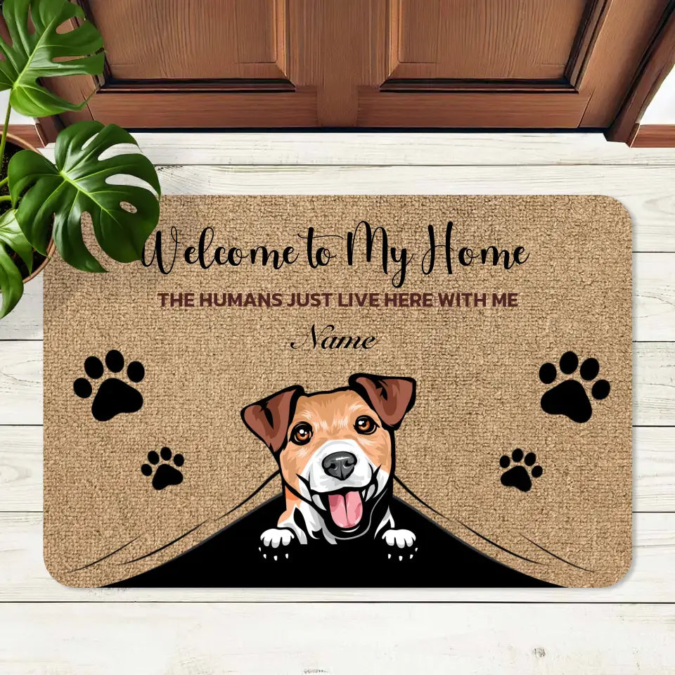 Custom Photo Pet Mat With Name Personalized Photo Non Slip Pet Mat for Dogs  or Cats 