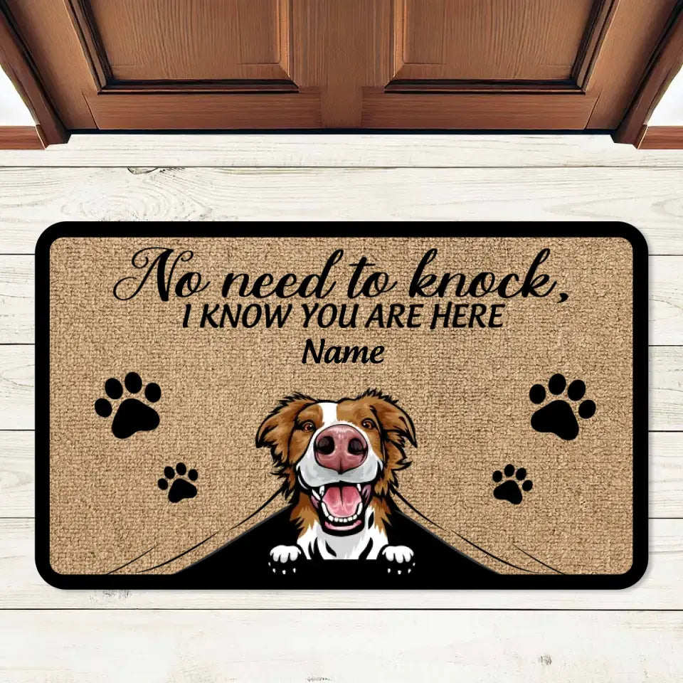 Your Furry Friends, Your Style! - Personalized Pet Doormat